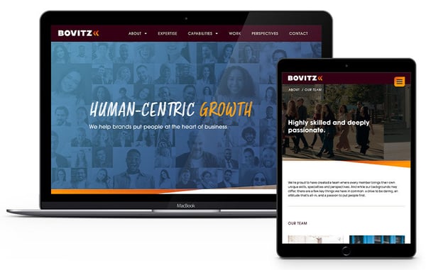 Bovitz-website2